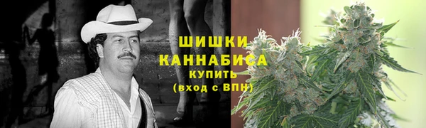 трава Карпинск