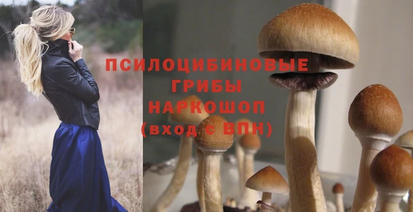 трава Карпинск