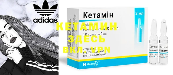 трава Карпинск