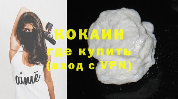 трава Карпинск