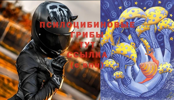 скорость Касимов