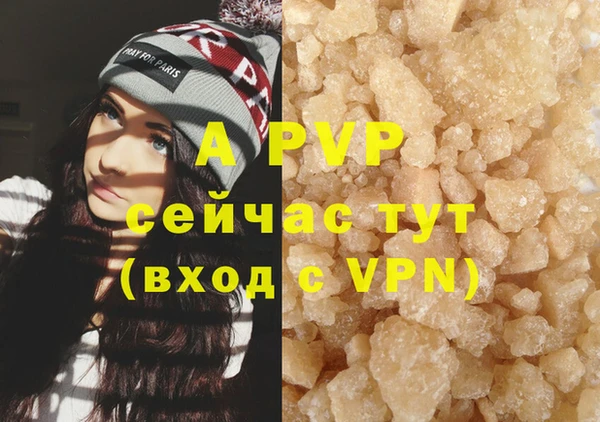 трава Карпинск