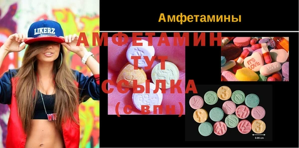 гидра Киреевск