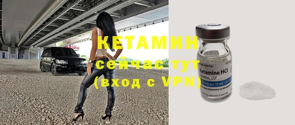 трава Карпинск