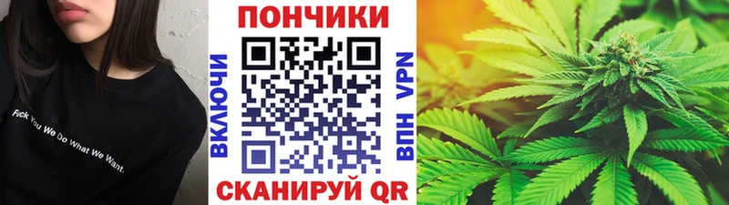 Шишки марихуана сатива  Купить где  Углегорск 